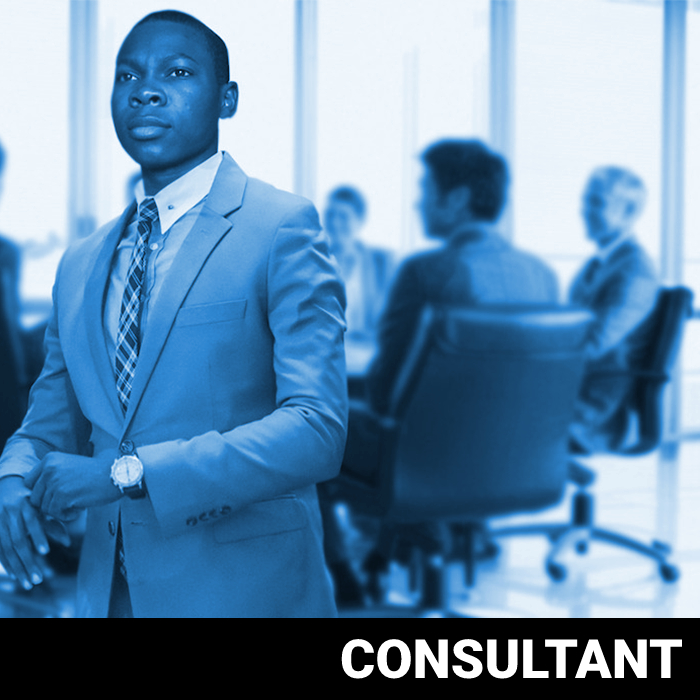 IT Business Analyst / Consultant MOA Assurance (H/F)
